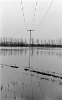 Wiesenhochwasser 1987