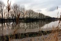 Wiesenhochwasser 1996