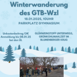 blue winter sale instagram post