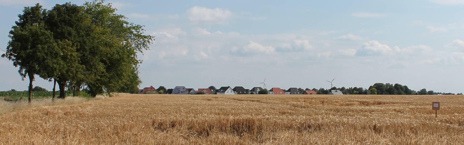 Hohendodeleben aus Richtung Schleibnitz
