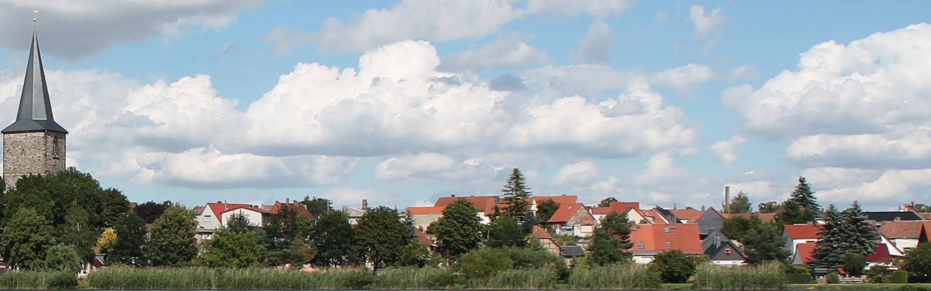 Seeblick in Seehausen