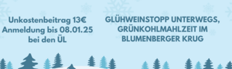 blue winter sale instagram post